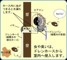 �G�A�R���̏�ɂ���